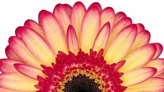 Fotografie Wilfried Overwater